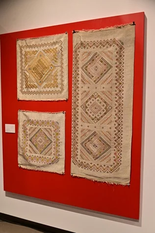 Launching of "Our Identity & Symbols" art Exhibition at Nabu Museum