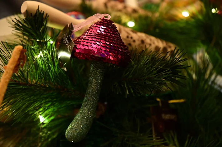 Panda Boutique x L'atelier Beihouse Magical Christmas Market