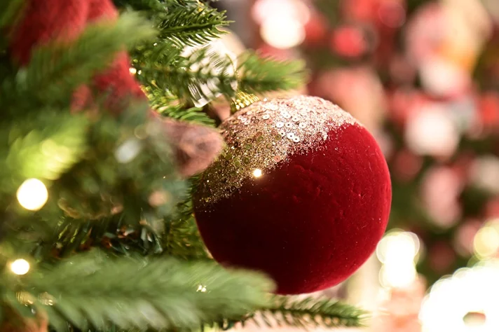 Panda Boutique x L'atelier Beihouse Magical Christmas Market