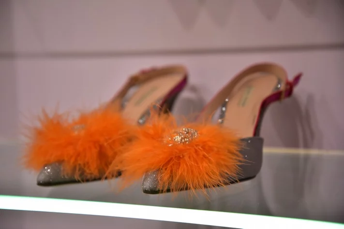 Showcasing of Zeina Wazen's boutique New Collection